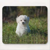 Süßer weißer Welpe Mousepad (Vorne)