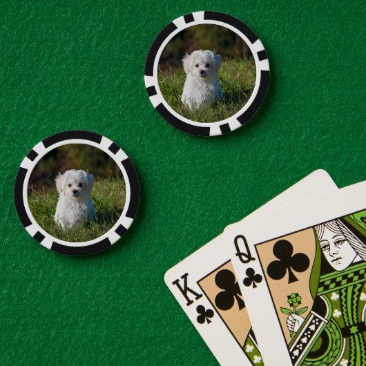 Süßer weißer Welpe Pokerchips (Pokertisch (doppelt))