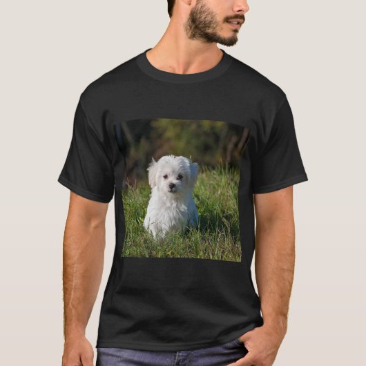 Süßer weißer Welpe T-Shirt (Vorderseite)