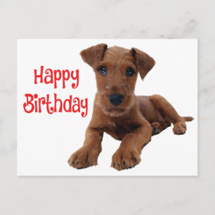 Süßer Welpe Airedale Terrier Geburtstag Postkarte