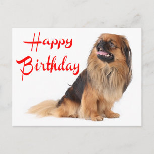 Süßer Welpe Hund Liebhaber Pekinese Geburtstag Postkarte