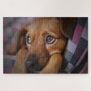 Süßer Welpe Hund Puzzle