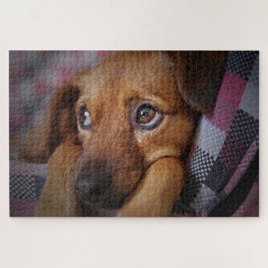 Süßer Welpe Hund Puzzle (Horizontal)