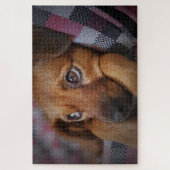 Süßer Welpe Hund Puzzle (Vertikal)