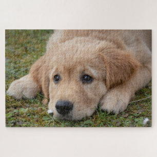 Süßer Welpe Hund Puzzle