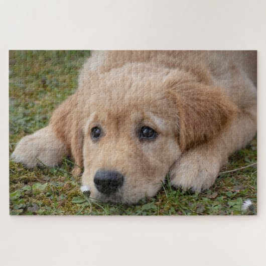 Süßer Welpe Hund Puzzle (Horizontal)