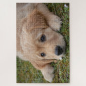 Süßer Welpe Hund Puzzle (Vertikal)