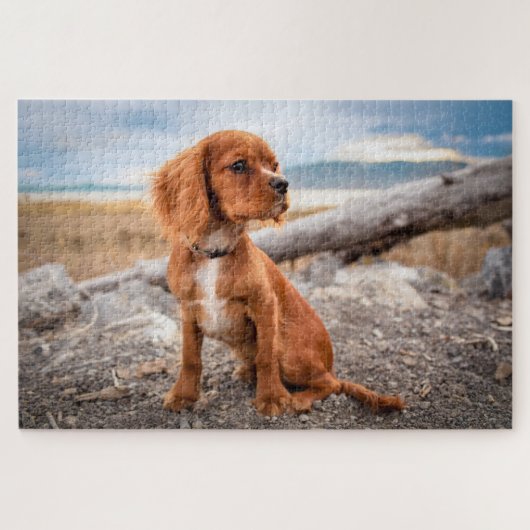 Süßer Welpe Hund Puzzle (Horizontal)