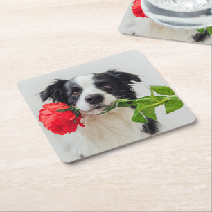 Süßer Welpe Hund Rose Schwarz Weiß Border Collie Rechteckiger Pappuntersetzer