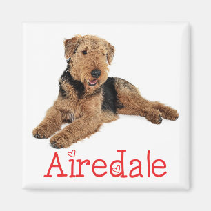 Süßer Welpe Hundemama Airedale Terrier Liebhaber Magnet