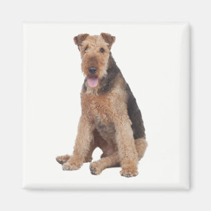 Süßer Welpe Hundemama Airedale Terrier Liebhaber Magnet