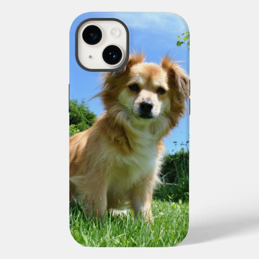 Süßer Welpe im Garten Foto Case-Mate iPhone Hülle (Rückseite)