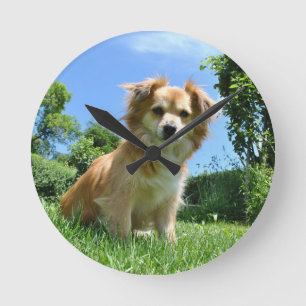 Süßer Welpe im Garten Foto Runde Wanduhr