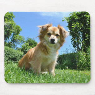 Süßer Welpe im Garten Mousepad
