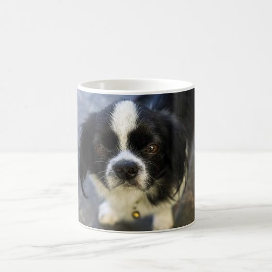 Süßer Welpe Kaffeetasse (Mittel)