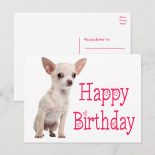 Süßer Welpe Lustiger Chihuahua Geburtstag Postkarte
