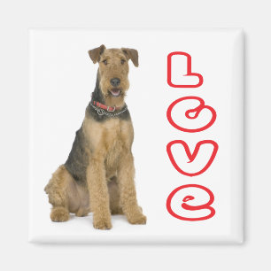 Süßer Welpenhund Mutter Hundeliebhaber Airedale Te Magnet