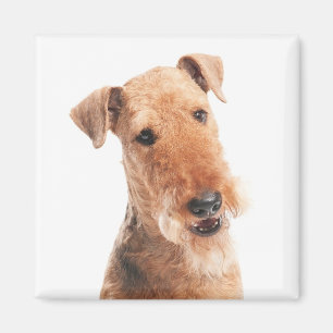Süßer Welpenhund Mutter Hundeliebhaber Airedale Te Magnet