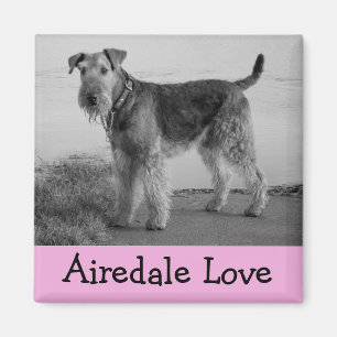 Süßer Welpenhund Mutter Hundeliebhaber Airedale Te Magnet