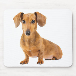 Süßer Wiener Welpe Hund Liebhaber Geschenk Dachshu Mousepad