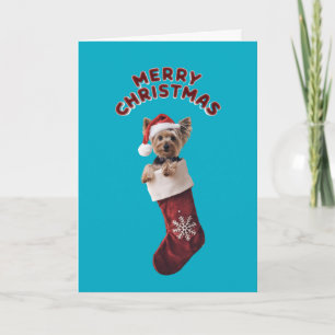 Süßer Yorkie-Weihnachtsstrumpf Karte