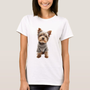 Süßer Yorkshire Terrier in grauem Pullover