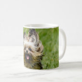 Süßer Yorkshire Terrier läuft durch Gras Kaffeetasse (VorderseiteRechts)