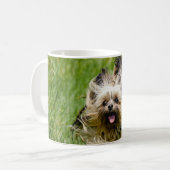 Süßer Yorkshire Terrier läuft durch Gras Kaffeetasse (Vorderseite Links)