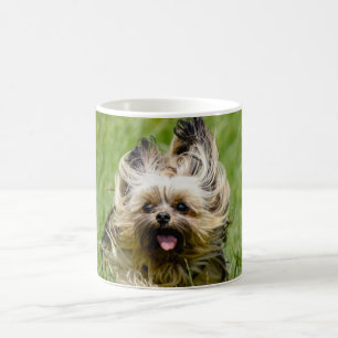 Süßer Yorkshire Terrier läuft durch Gras Kaffeetasse