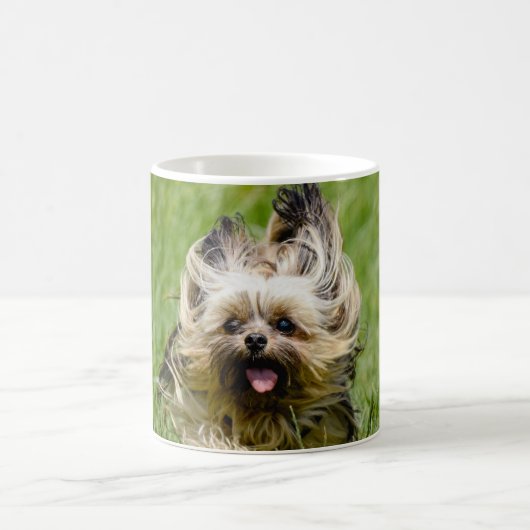 Süßer Yorkshire Terrier läuft durch Gras Kaffeetasse (Mittel)