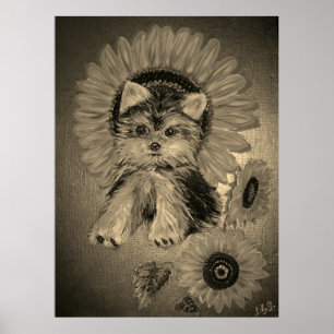Süßer Yorkshire Terrier mit Sonnenblumen Poster