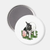 Süßerbse Magnet (Vorderseite/Rückseite)