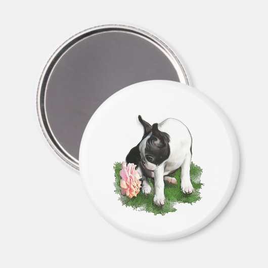 Süßerbse Magnet (Vorderseite/Rückseite)