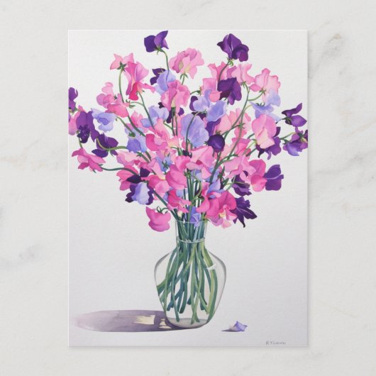 Süßerbsen 2007 postkarte (Vorderseite)