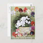 Süßerbsen Postkarte (Vorne/Hinten)