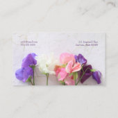 Süßerbsen Telefonnummerkarte (Rückseite)