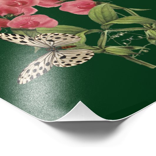 Süßerbsen und Schmetterlinge 8x10 Fotodruck (Ecke)