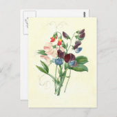 Süßerbsen von Pierre-Joseph Redouté Postkarte (Vorne/Hinten)