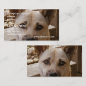 Süßes Akita Visitenkarte (Vorne/Hinten)