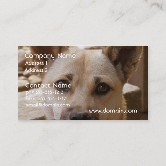 Süßes Akita Visitenkarte (Vorderseite)