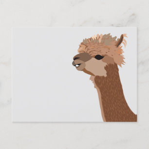 Süßes Alpaka-Tier Postkarte