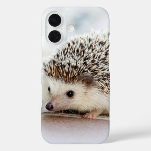 Süßes Baby-Igel-Foto iPhone 16 Hülle