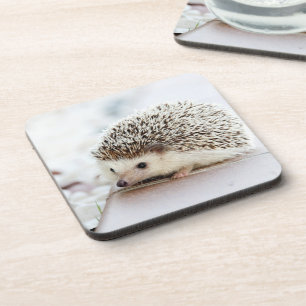 Süßes Baby-Igel-Foto Getränkeuntersetzer