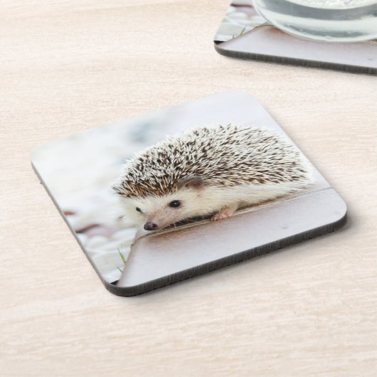 Süßes Baby-Igel-Foto Getränkeuntersetzer (Linke Seite)