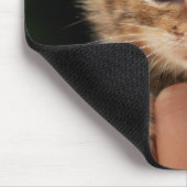Süßes Baby-Kätzchen Mousepad (Ecke)
