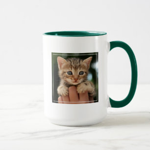 Süßes Baby-Kätzchen Tasse
