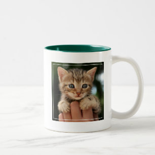 Süßes Baby-Kätzchen Zweifarbige Tasse