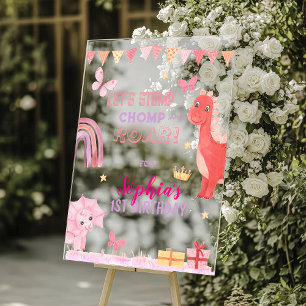 Süßes Baby Mädchen Rosa Dino Dinosaurier Kinder Ge Acrylschild
