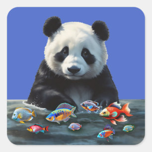Süßes Baby-Panda, das bunte Fische betrachtet Quadratischer Aufkleber