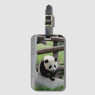 Süßes Baby-Panda Gepäckanhänger